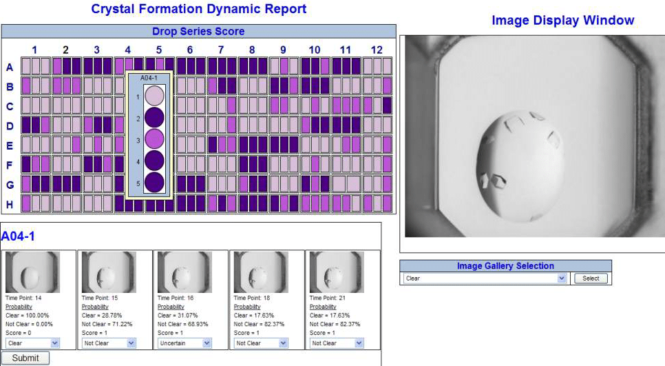 Pipeline Pilot Imaging 컬렉션을 활용한 Crystal Formation Dynamic Report와 상세 화면 이미지