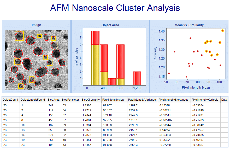 Pipeline Pilot Imaging 컬렉션을 활용한 AFM Nanoscale Cluster analysis 결과 이미지