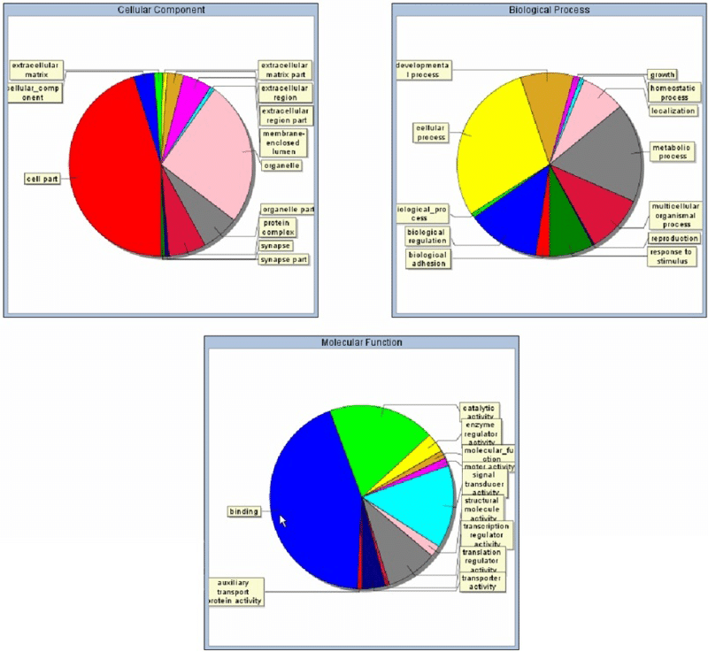 Pipeline Pilot Biology Gene Expression 컬렉션을 활용한 결과 이미지-3