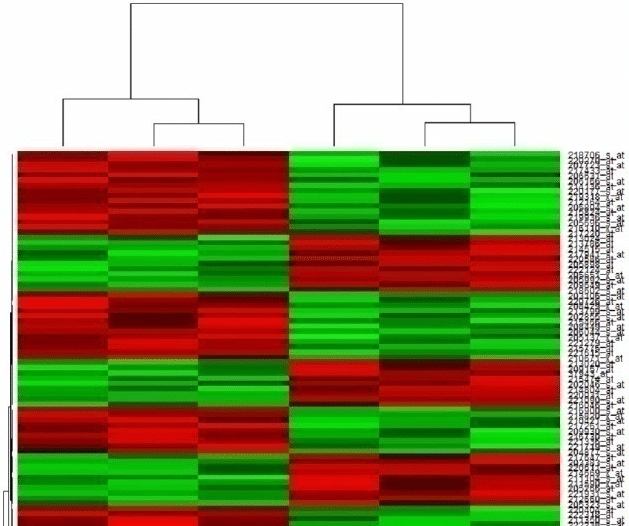 Pipeline Pilot Biology Gene Expression 컬렉션을 활용한 결과 이미지-2
